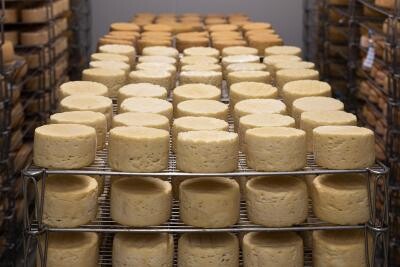 O brânză de capră din Spania a câștigat primul loc la World Cheese Awards / Foto: Pixabay