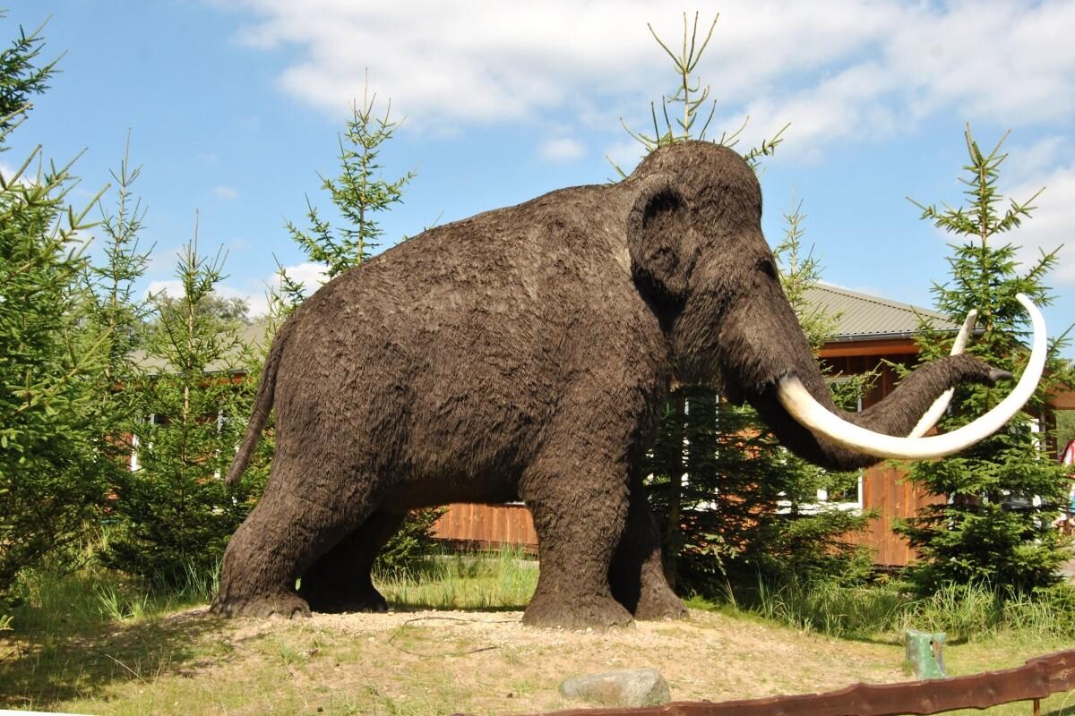 Monument în parcul zoo tematic din Oranienburg, reprezentând mamutul lânos / Pxhere