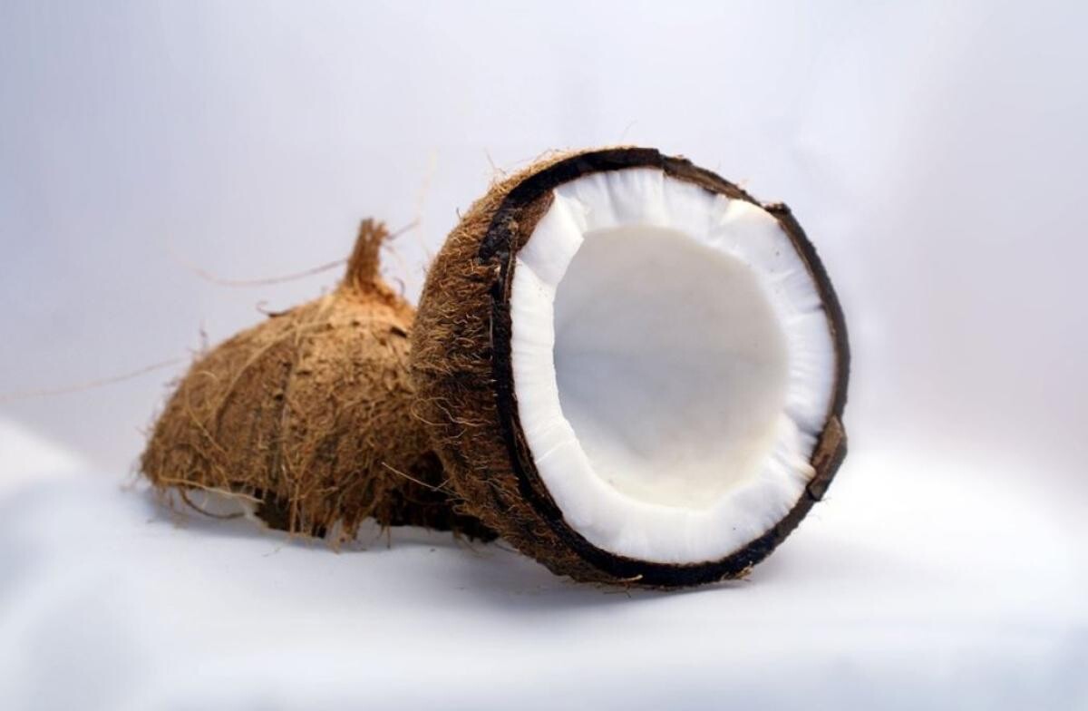 Pandișpan moale cu nucă de cocos, fără făină și fără unt. Va deveni desertul preferat. Sursa - pixabay.com