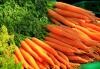 Păstrează morcovii pentru iarnă în borcane. Trucurile cu care nu vei da greș. Sursa - pixabay.com