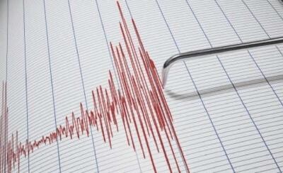 
Nou cutremur, cu magnitudinea 4,4, în judeţul Gorj
