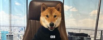 Câinele lui Elon Musk este noul director al companiei Twitter: Este grozav. Mult mai bun decât celălalt tip