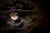 Oamenii de știință: Luna ar putea susține viața umană / Photo by Brett Sayles