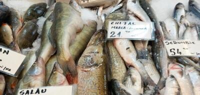Anghel (ANPC): Refuzaţi să cumpăraţi peşte dacă aveţi îndoieli privind gradul de prospeţime, calitatea şi etichetarea