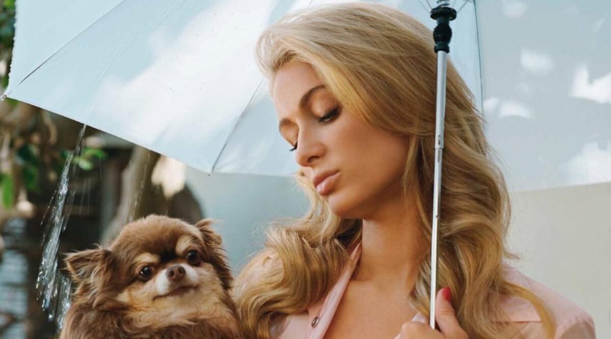 Paris Hilton plânge de 2 zile! Cel mai loial prieten al ei a murit