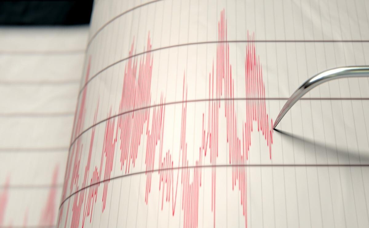 Japonia, sub avertisment de tsunami după un cutremur cu magnitudinea de 6,6