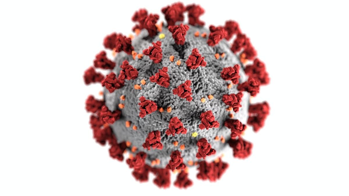 Un virus descoperit în China se răspândește rapid în Europa 